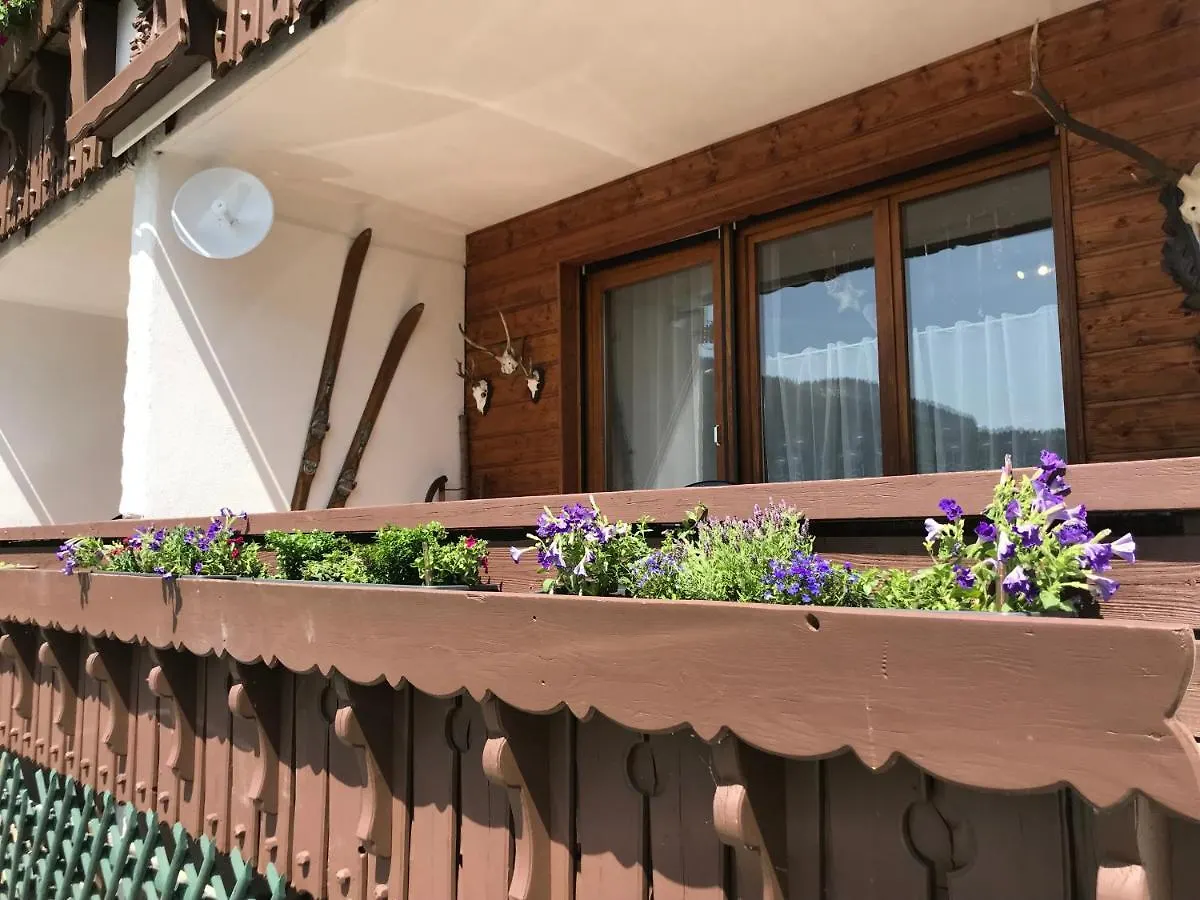 Almblick Ferienwohnung Balderschwang 0*,